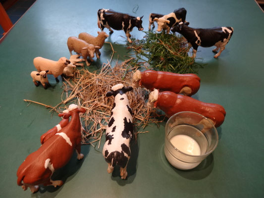 Bauernhof im Koffer – Bild 3