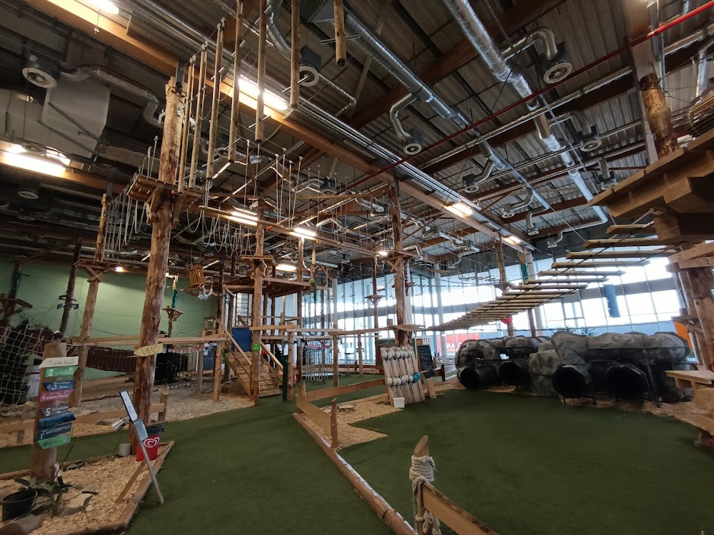 Indoor Kletterwald – Bild 3