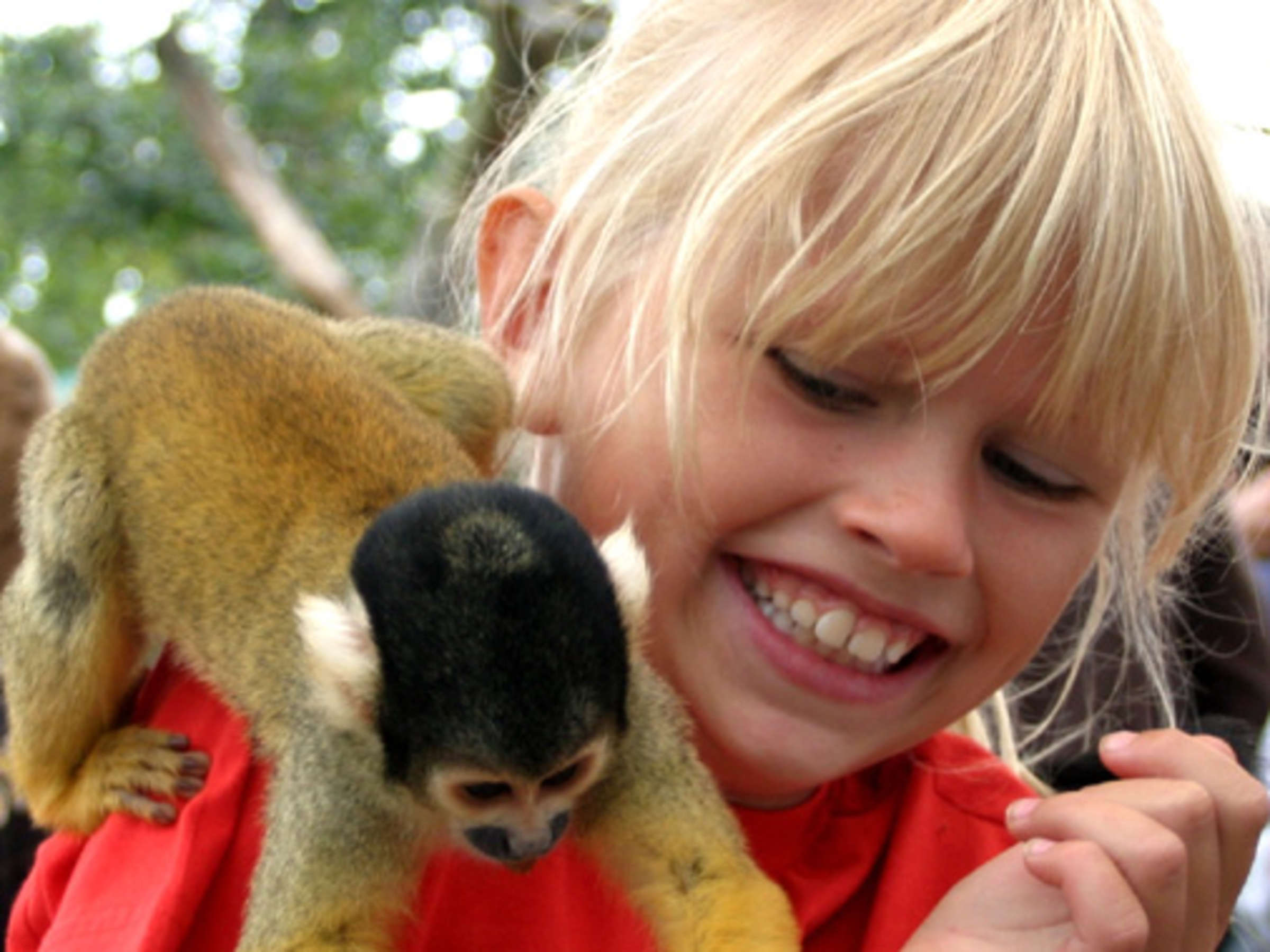 Affen- & Vogelpark Eckenhagen – Bild 6