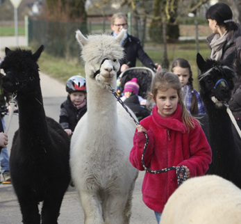 Hofladen Seidel – Bild 3