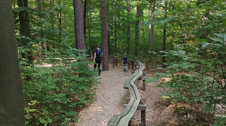 Kugelbahn – Bild 5