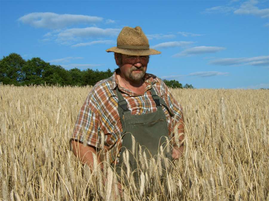 Biohof Heckseifen Kurt Ohrndorf – Bild 2