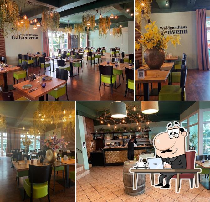 Hayatt Nettetal Galgenvenn – Bild 2