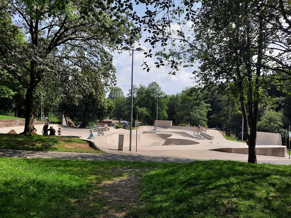 Hexenbusch – Bild 6