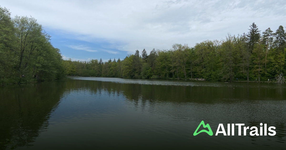 Rotwildgehege – Bild 3