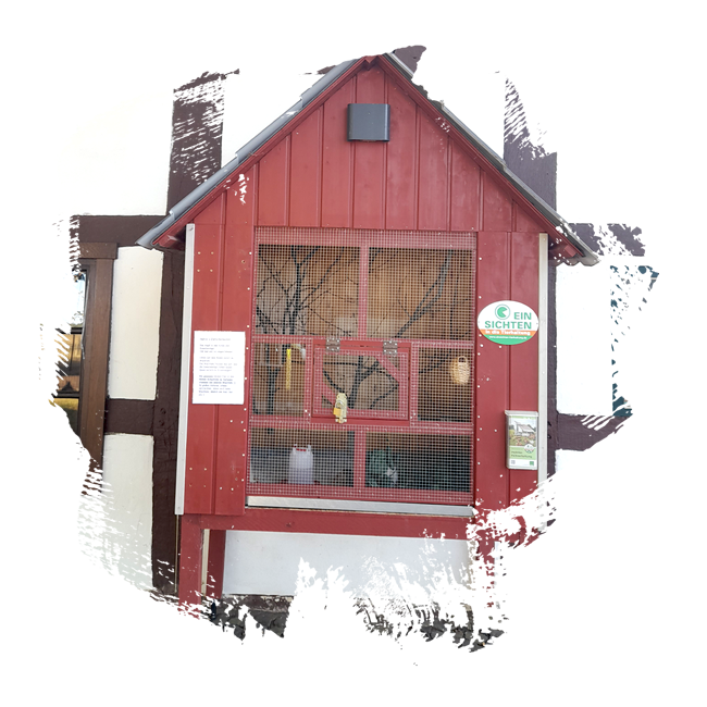 Der Noltenhof - Sophia Hermelingmeier – Bild 3