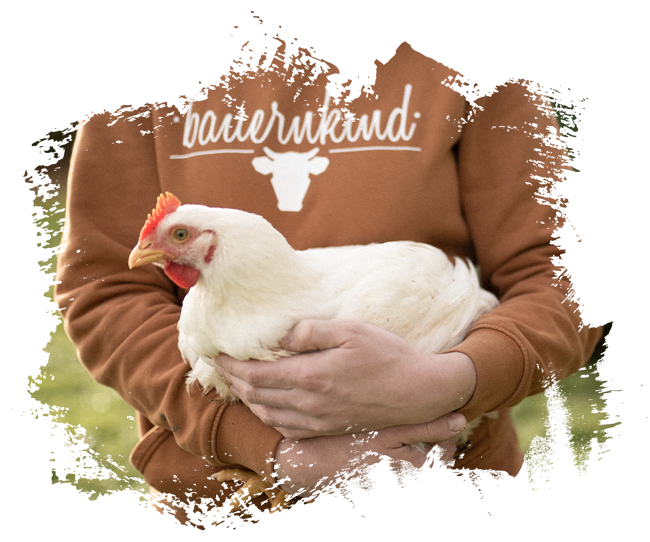 Der Noltenhof - Sophia Hermelingmeier – Bild 4