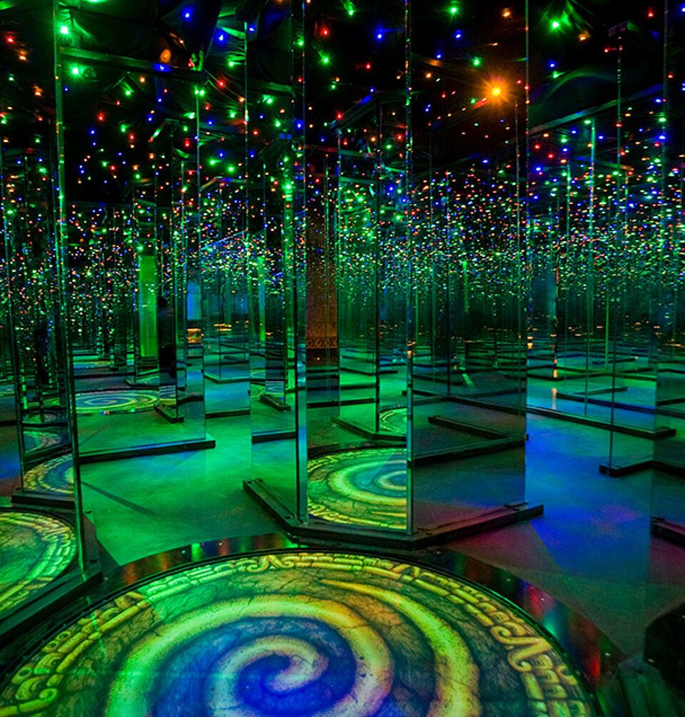 Abenteuer Dschungelland – Bild 2