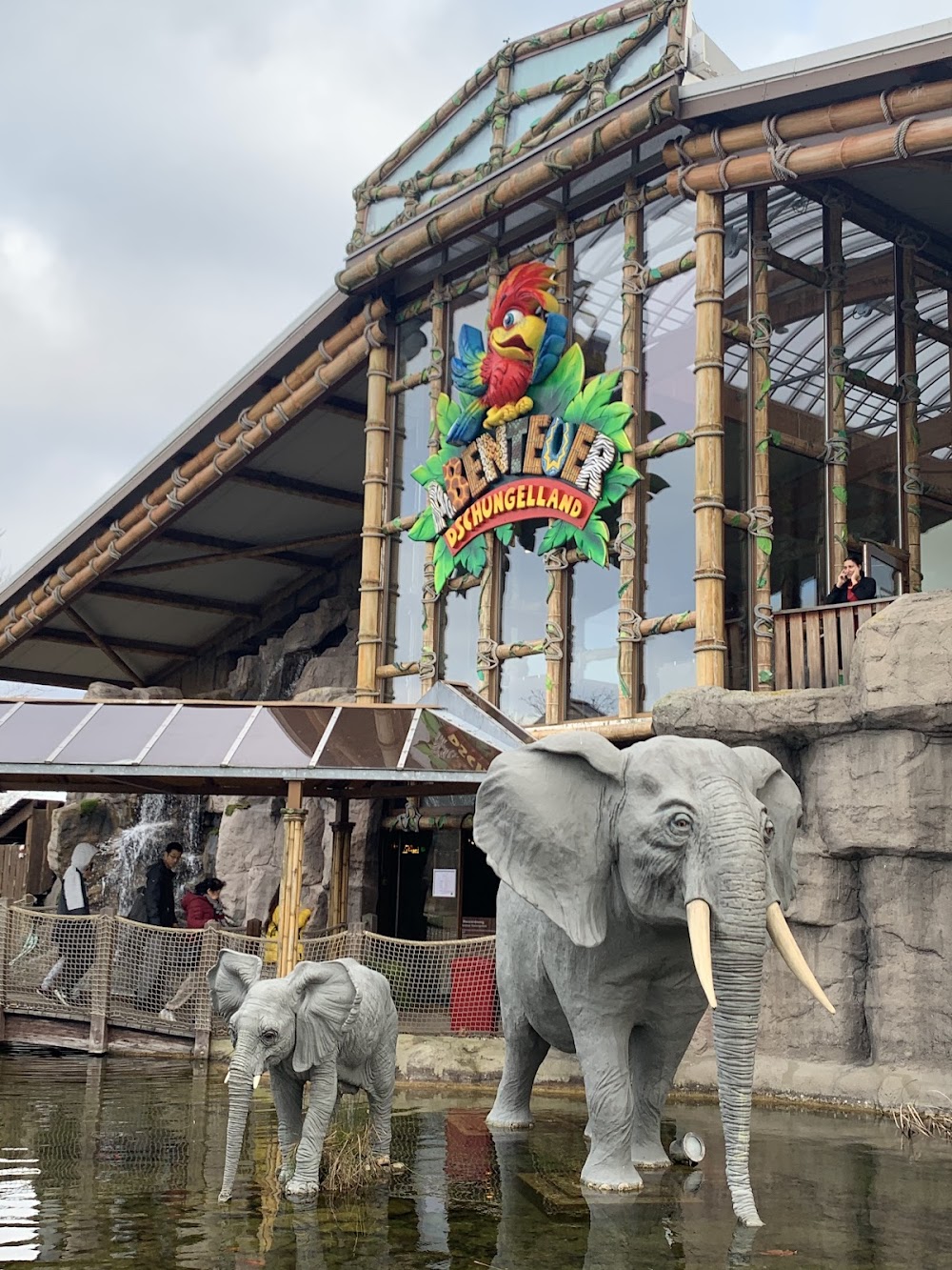 Abenteuer Dschungelland – Bild 3