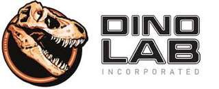 Dino Lab Inc. – Bild 2