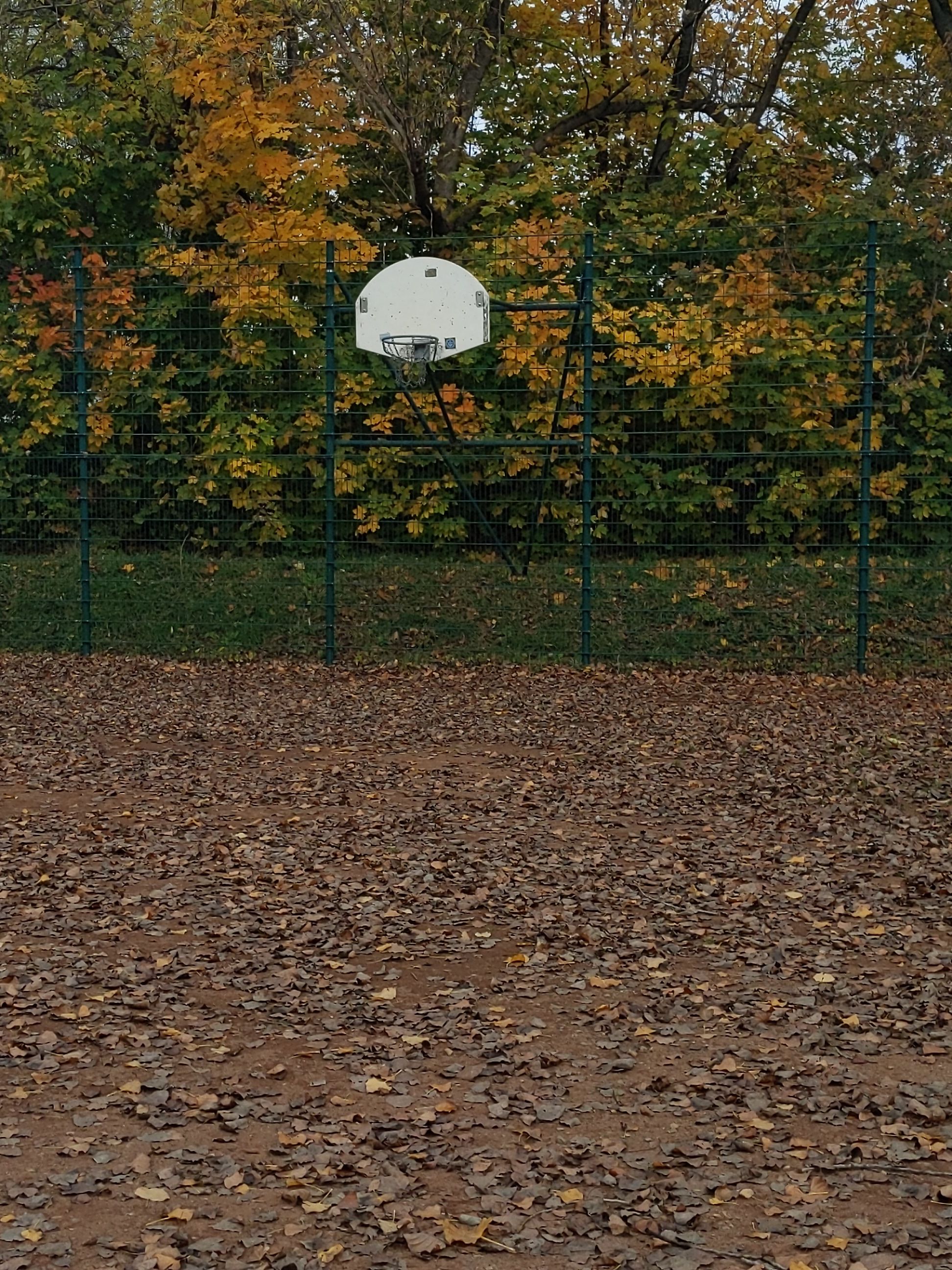 Bolzplatz – Bild 3