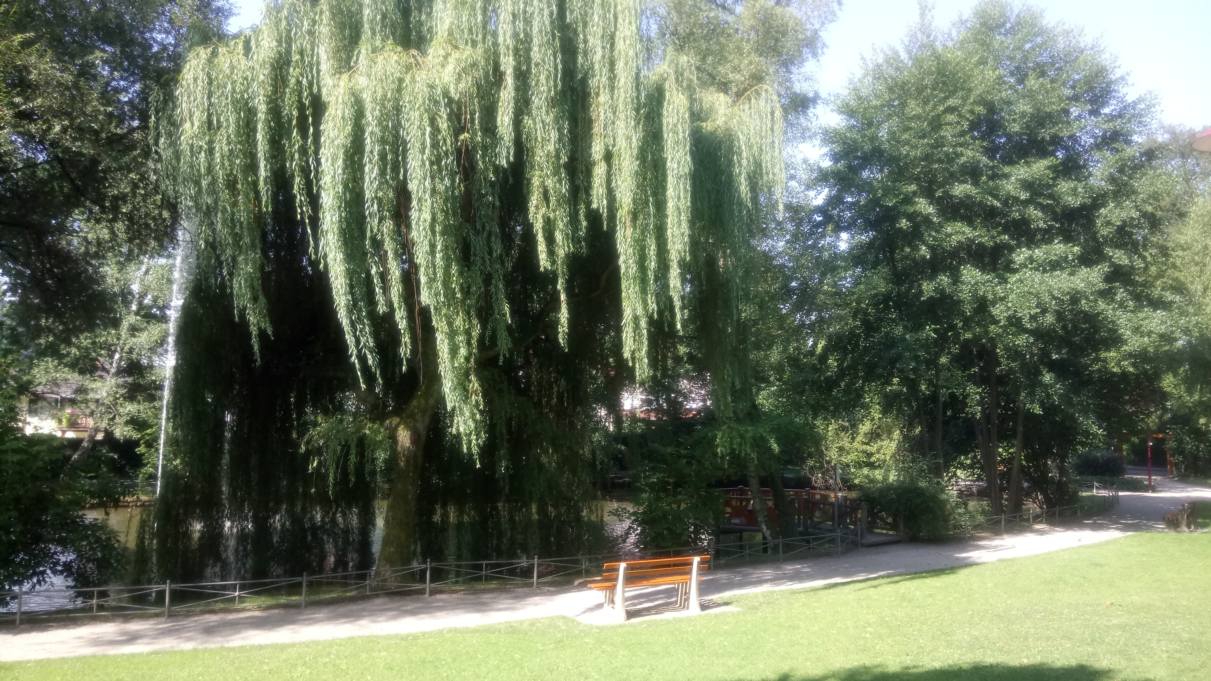 Stadtgarten – Bild 1