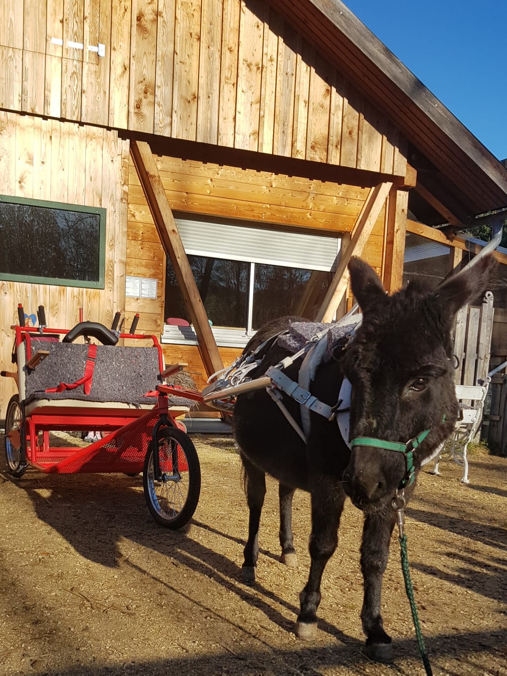 Aufwindhof – Bild 3