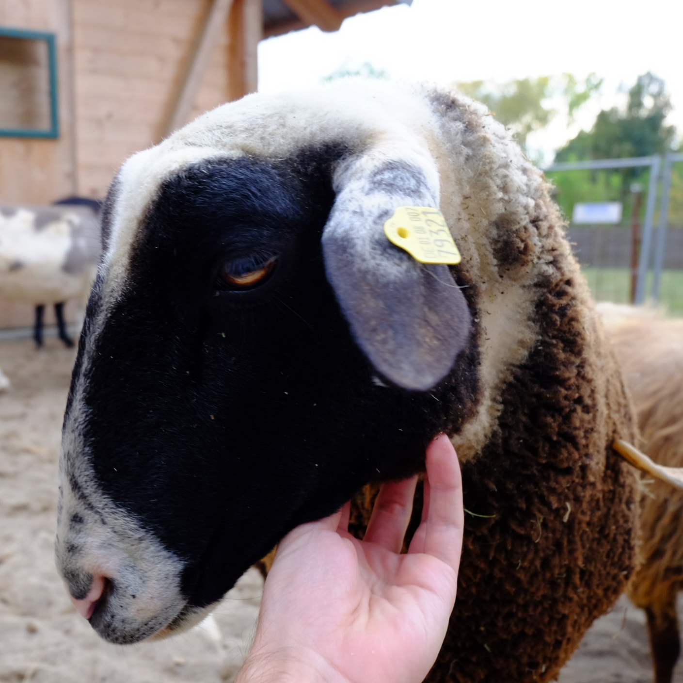 Aufwindhof – Bild 6