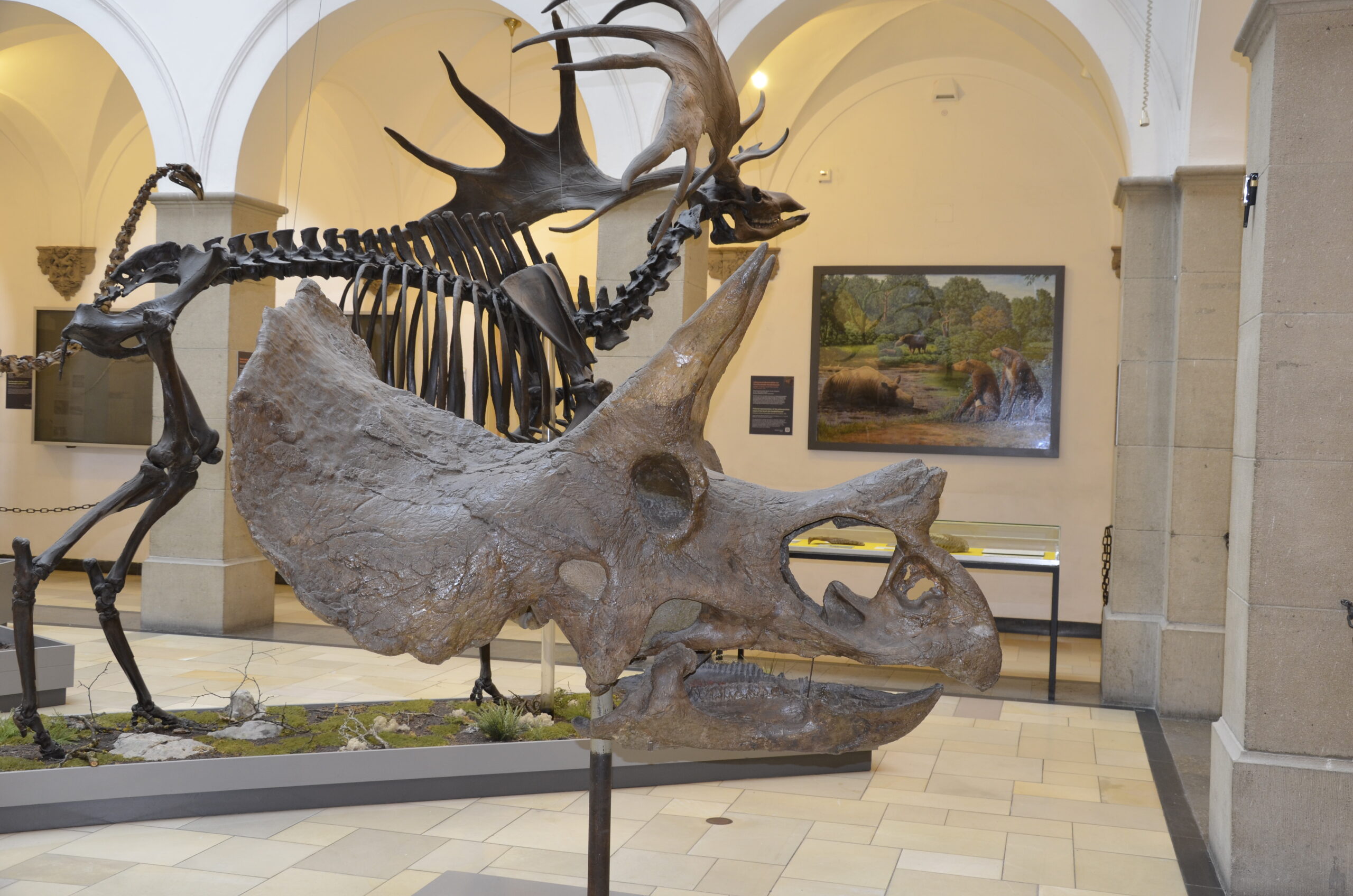 Bayerische Staatssammlung für Paläontologie und Geologie – Bild 3