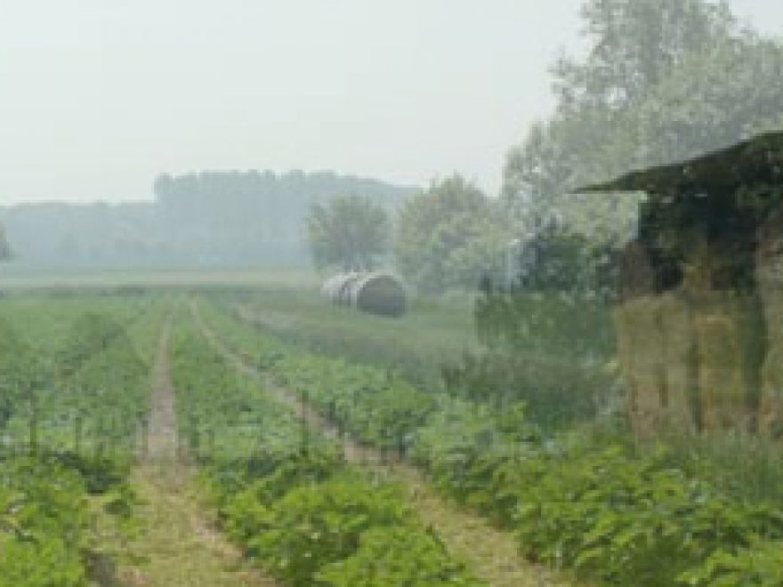 Hof Mertin – Bild 2