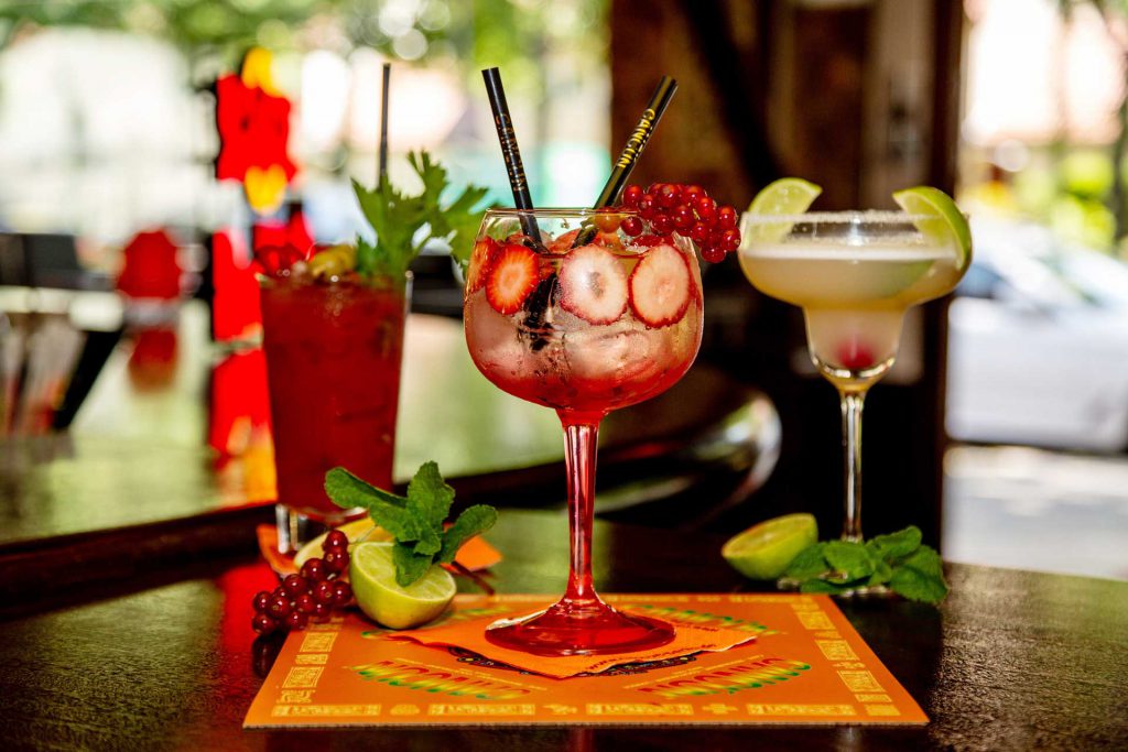 Kaktus Eberswalde – Bild 5