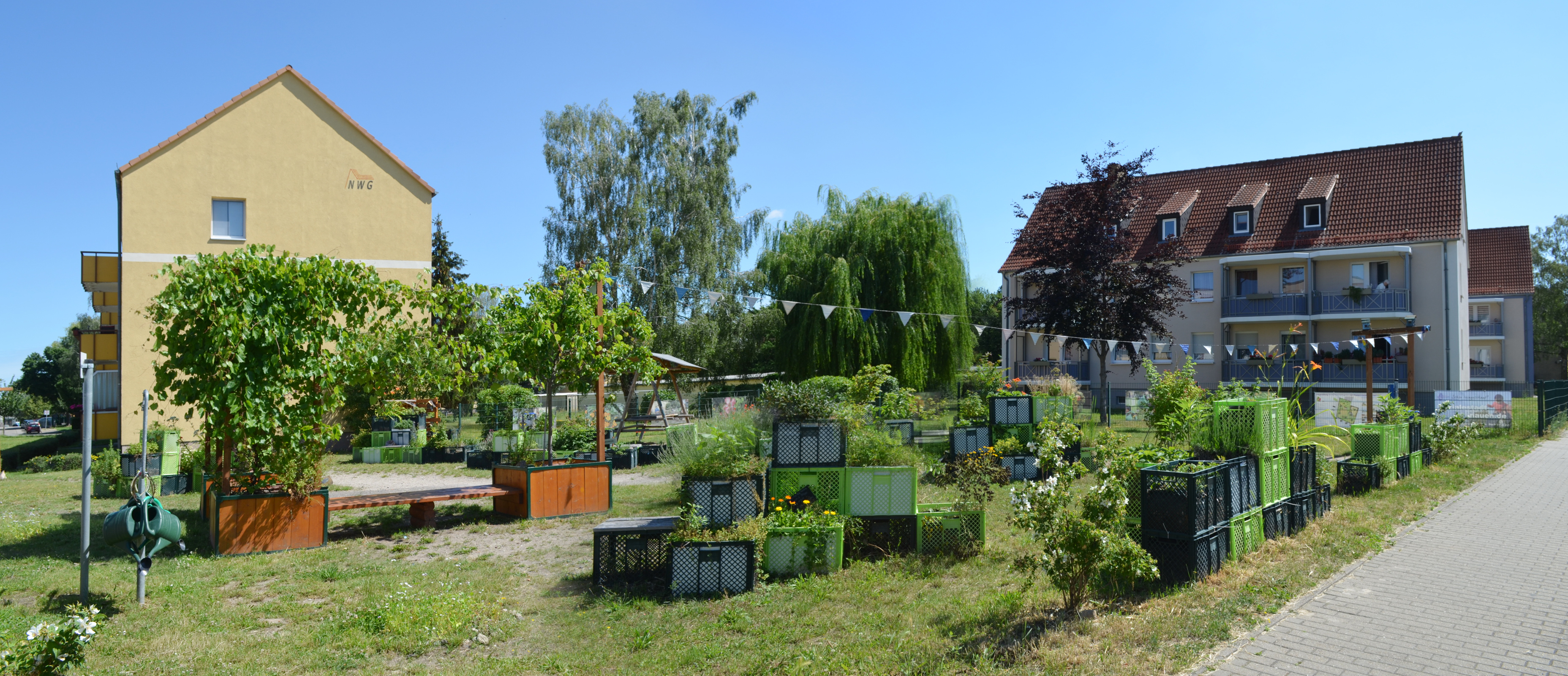 Nachbarschaftsgarten “Grünes Eck” – Bild 6