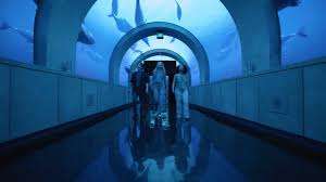 Arcadia Earth Toronto – Bild 1