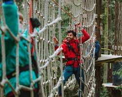 WildPlay Nanaimo – Bild 2