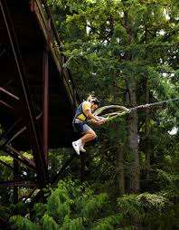 WildPlay Nanaimo – Bild 3