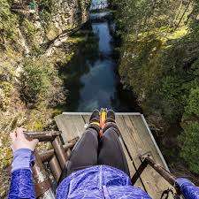 WildPlay Nanaimo – Bild 4