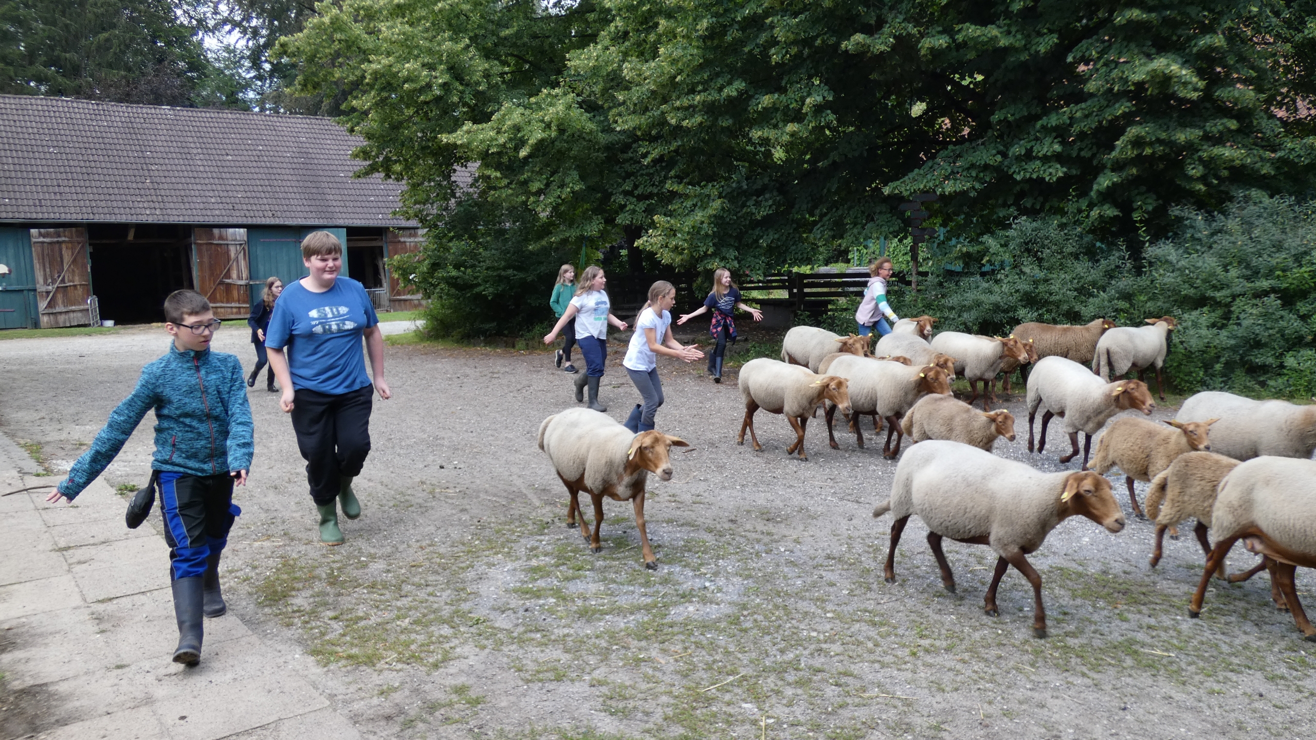 Schulbauernhof Ummeln – Bild 6