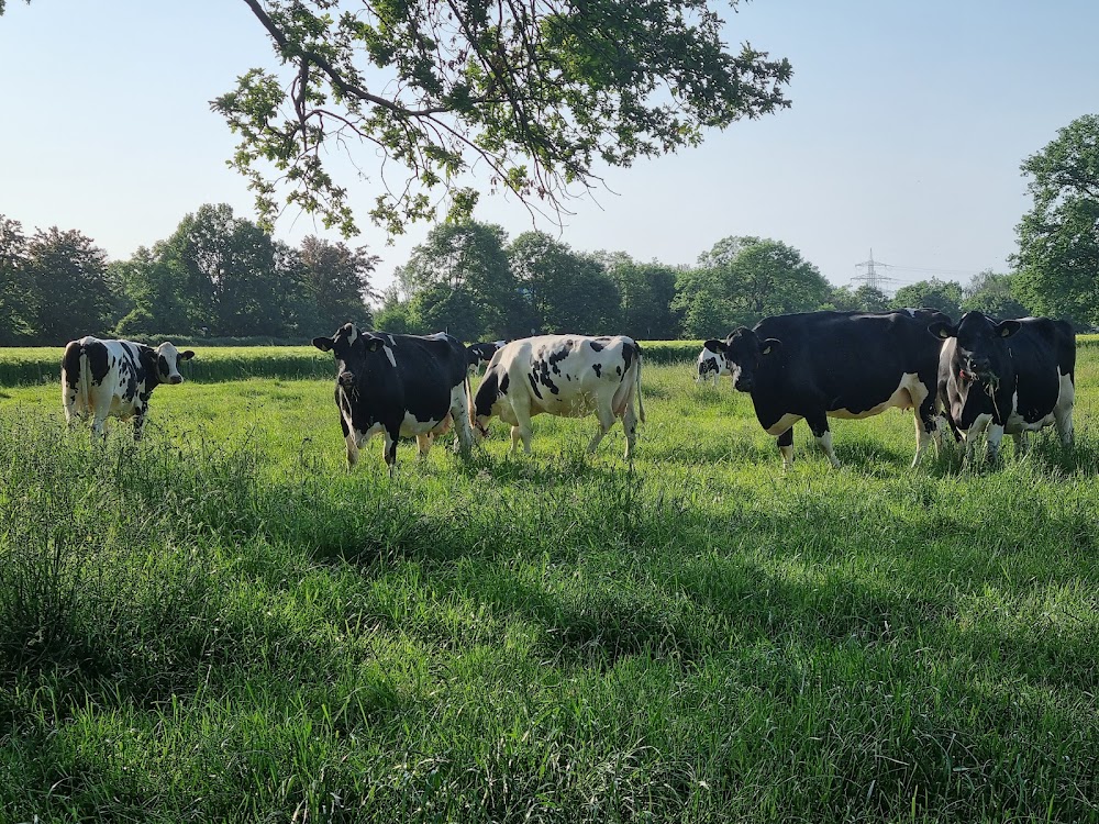 Hof Scheja – Bild 1