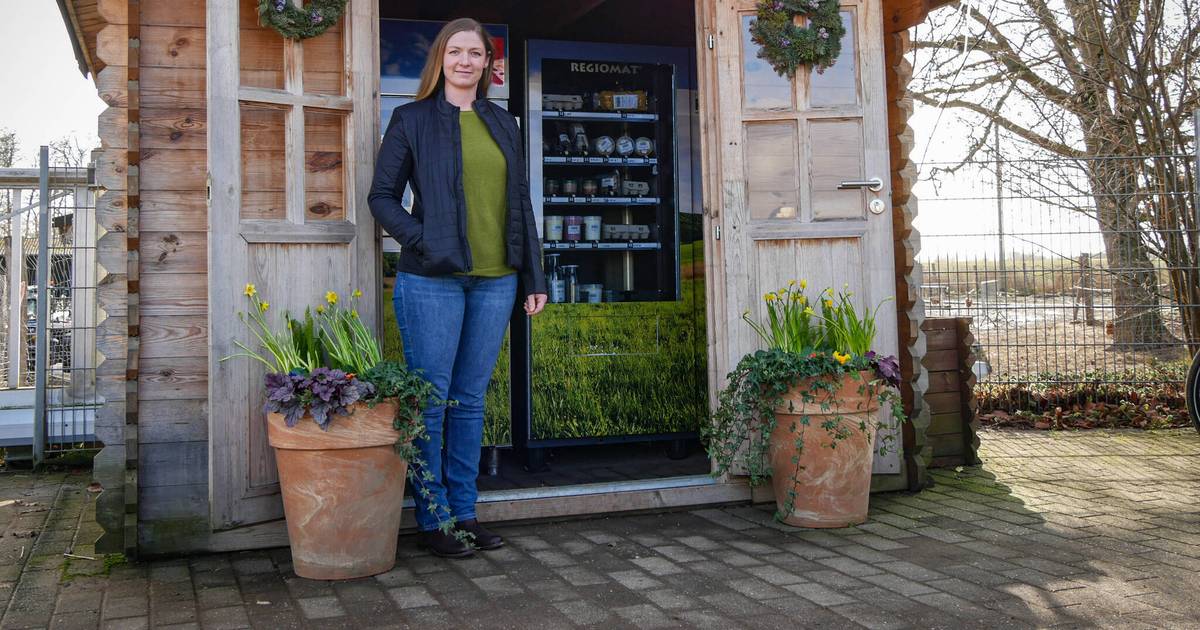 Hof Scheja – Bild 5