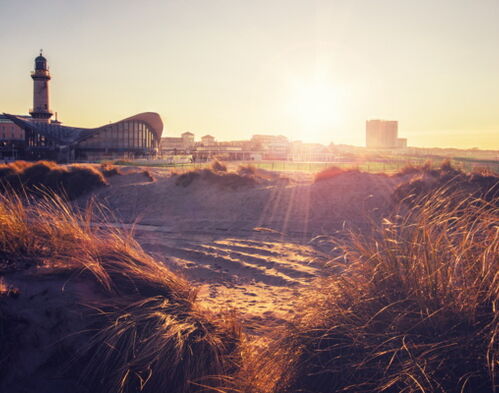 Warnemünder Vogtei – Bild 6