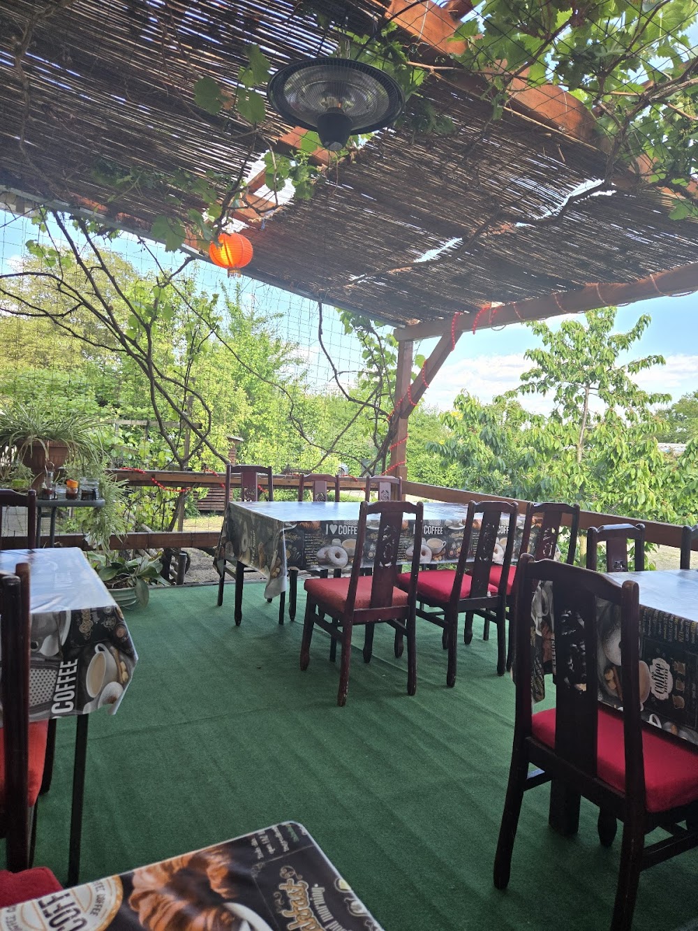 Cafe Korowka – Bild 3