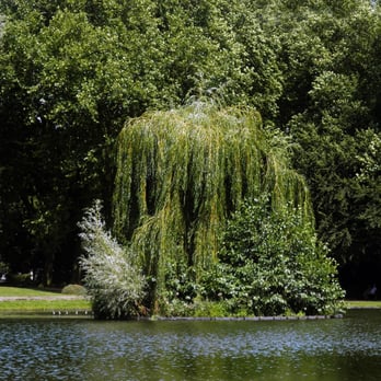 Rheinberger Park – Bild 3