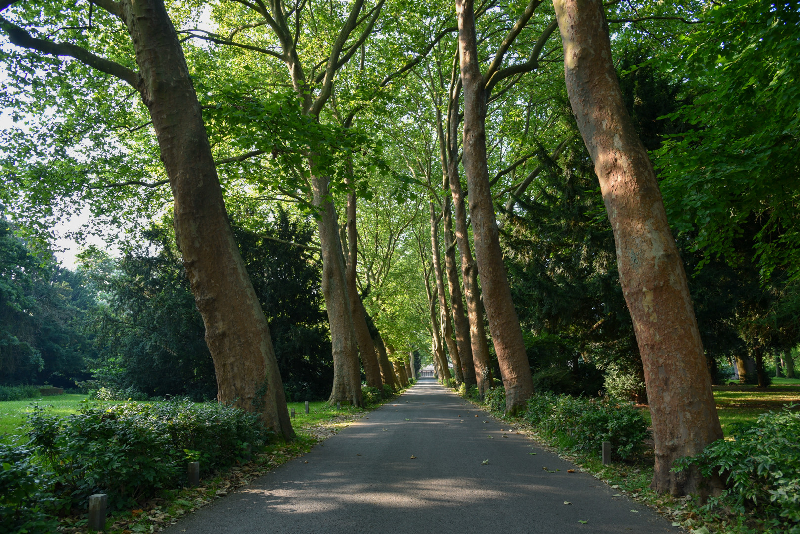 Rheinberger Park – Bild 5