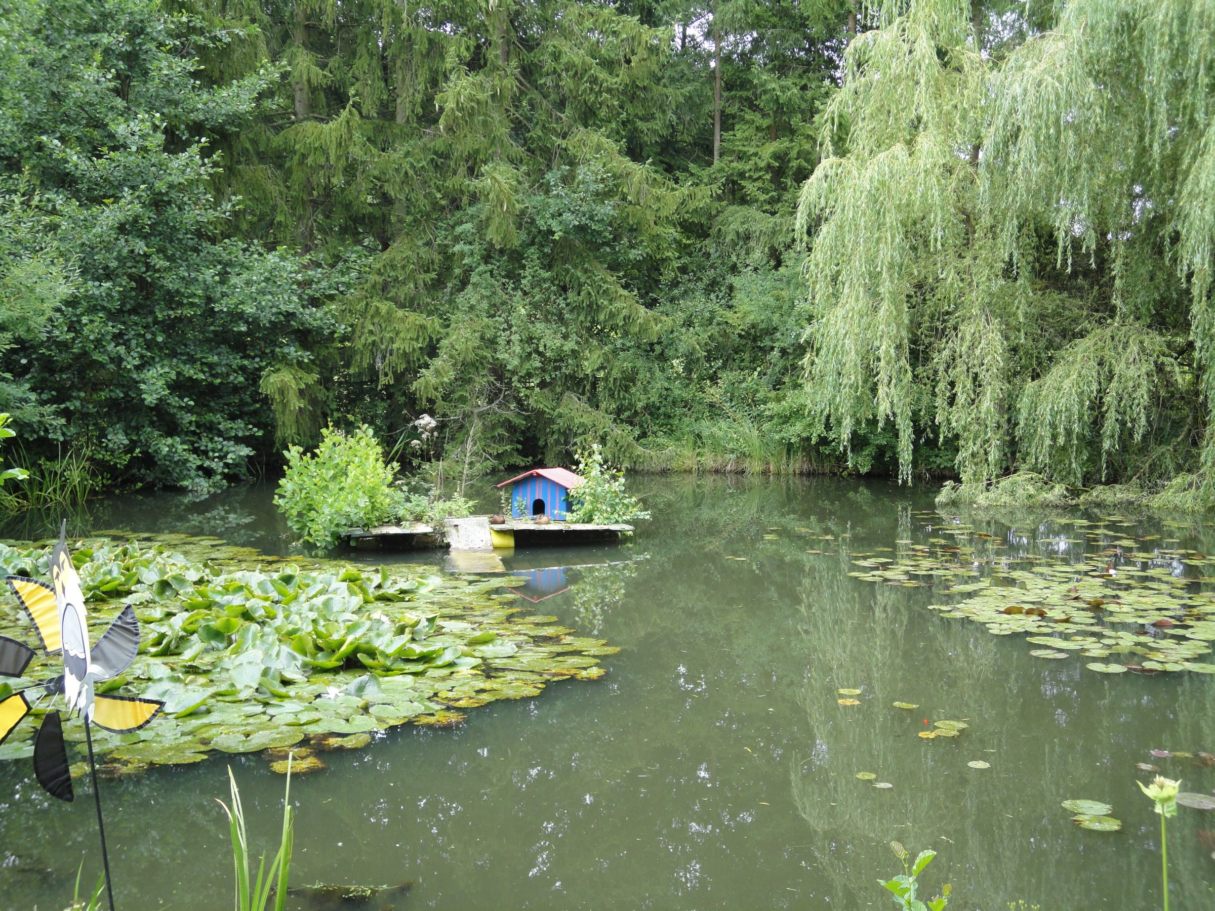 Seerosengarten Balingen – Bild 1