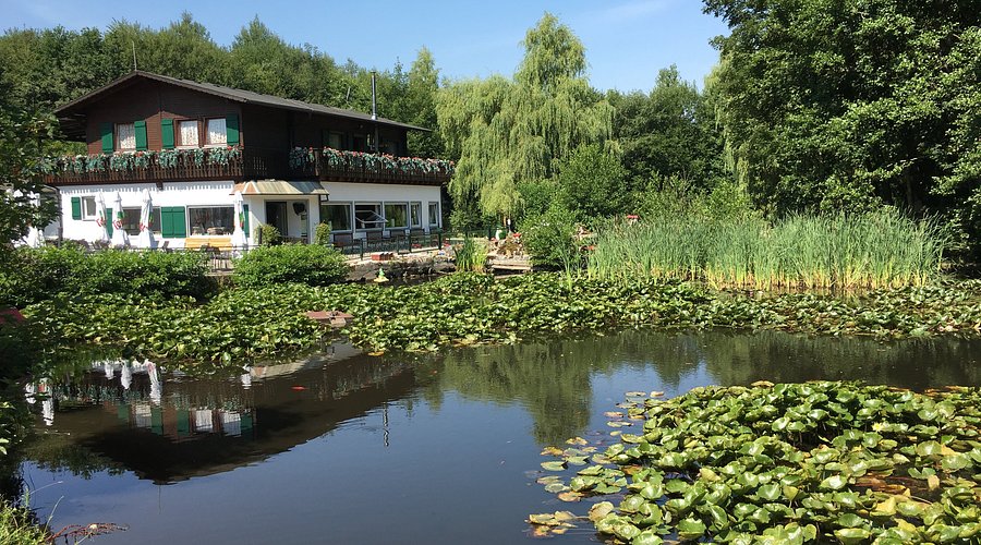 Seerosengarten Balingen – Bild 2