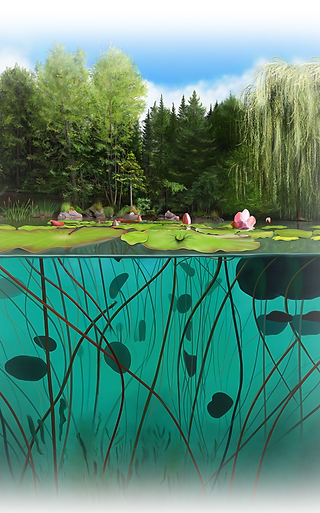 Seerosengarten Balingen – Bild 6