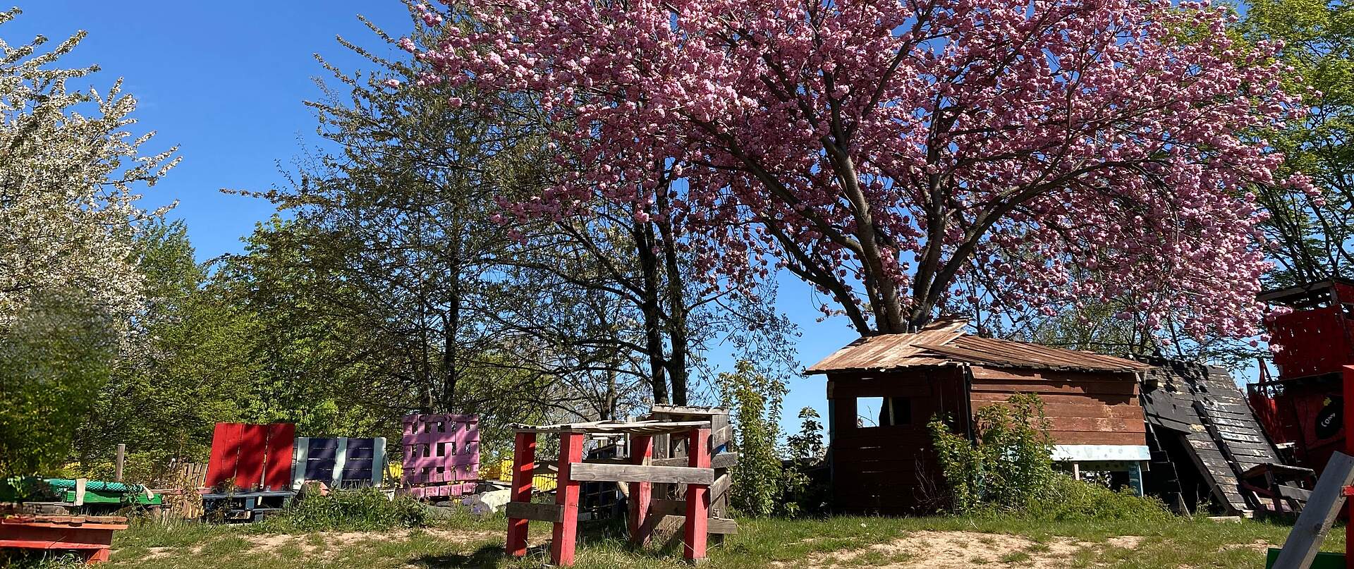 Farm am Holzlarer Weg – Bild 5