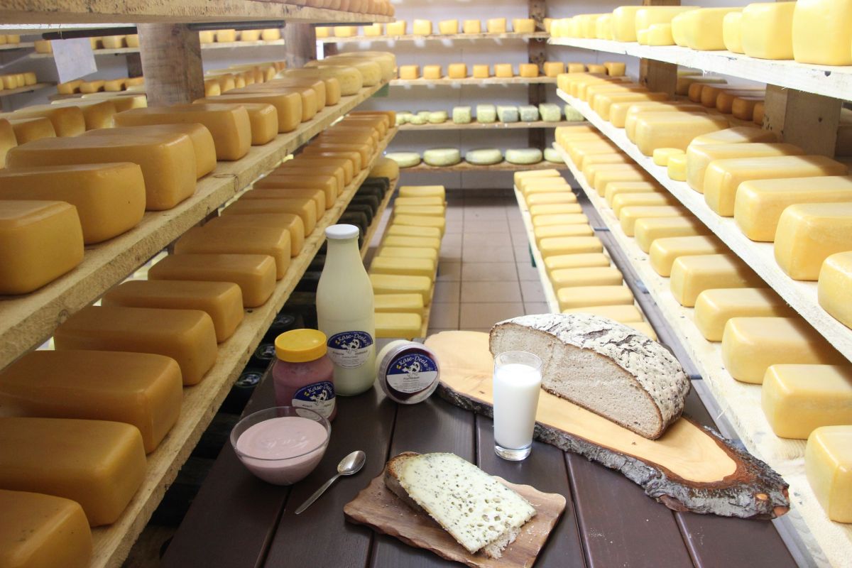 Käse-Deele – Bild 3