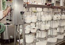 Käse-Deele – Bild 4