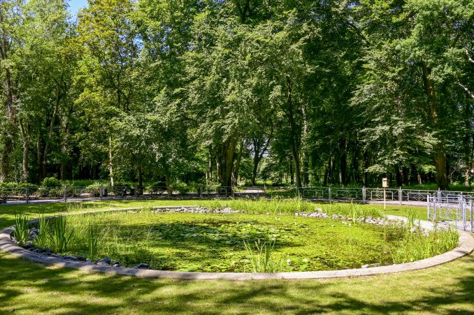 Volkspark – Bild 2