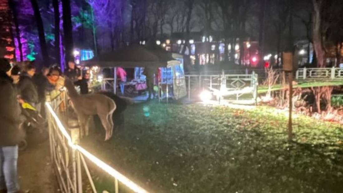 Volkspark – Bild 5