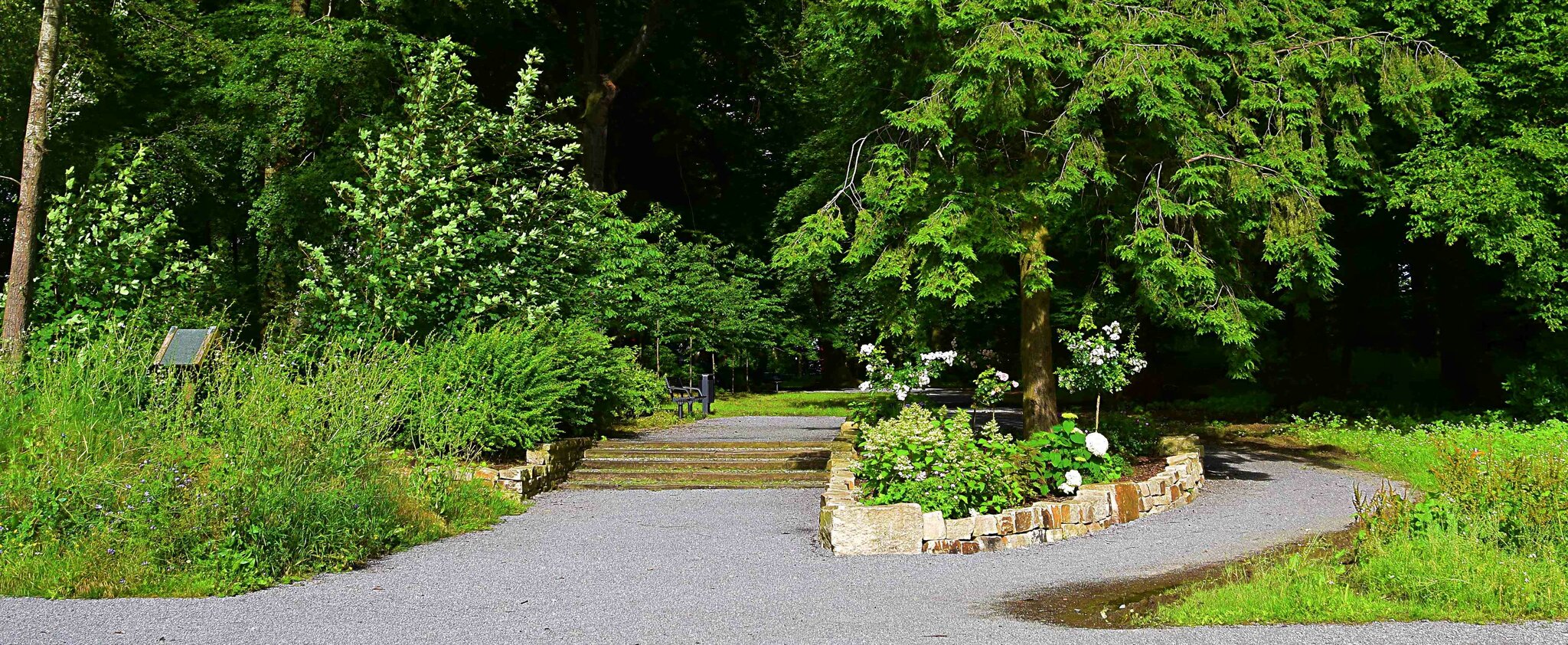 Volkspark – Bild 6