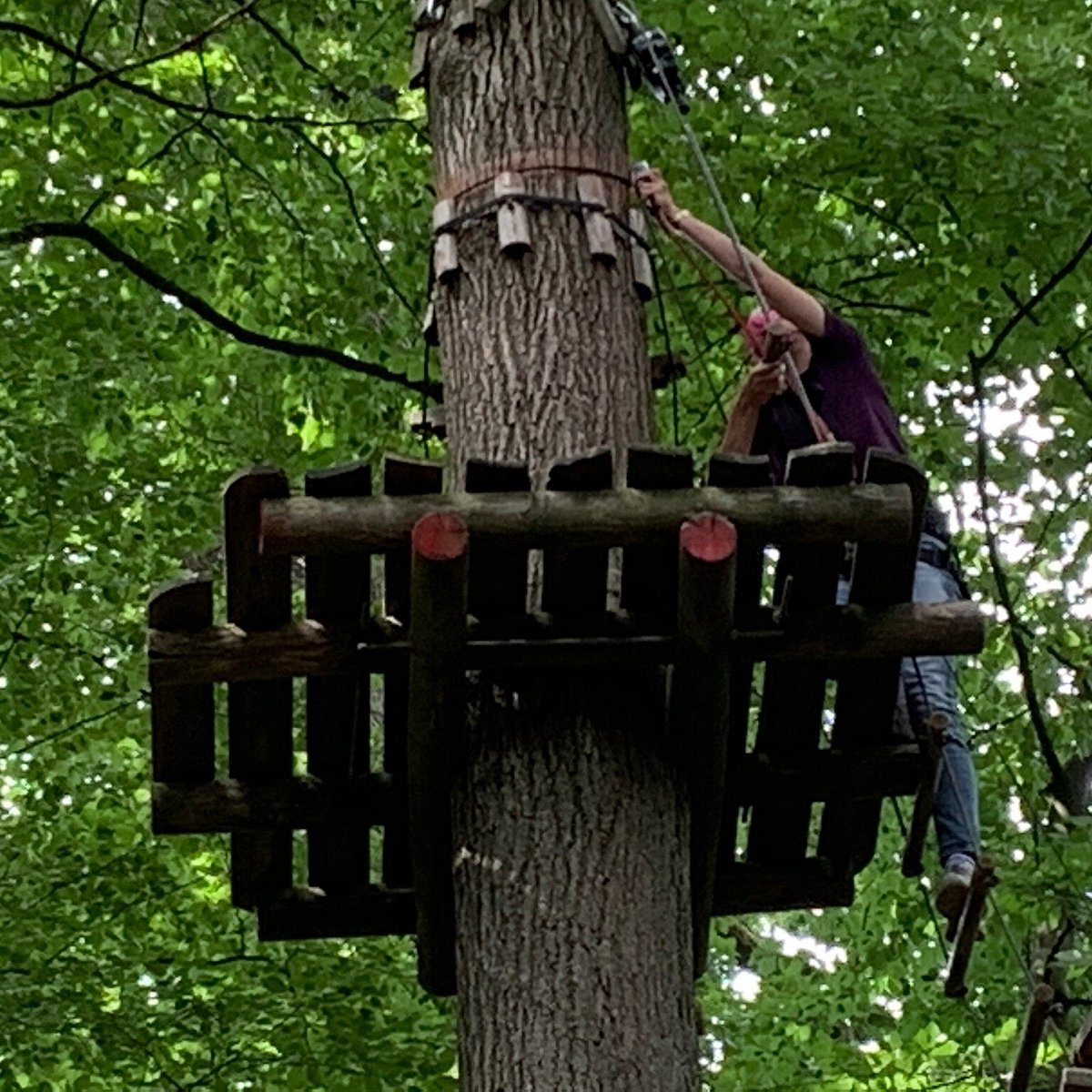 Kletterwald Osnabrück - Teammotion – Bild 2