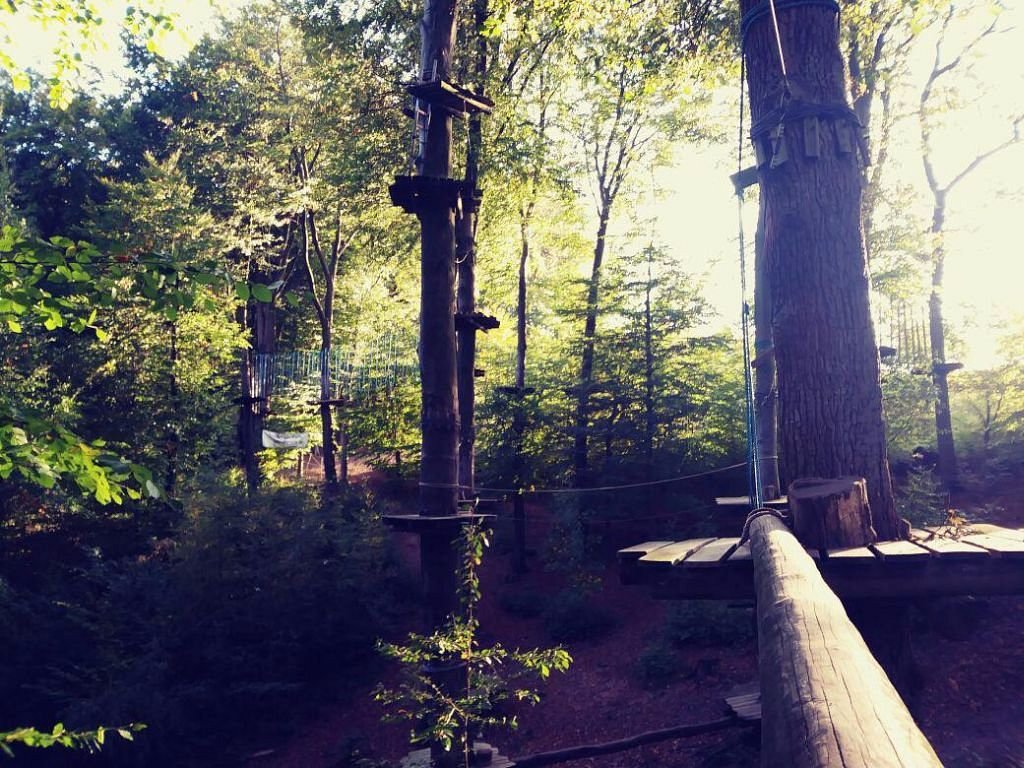 Kletterwald Osnabrück - Teammotion – Bild 3