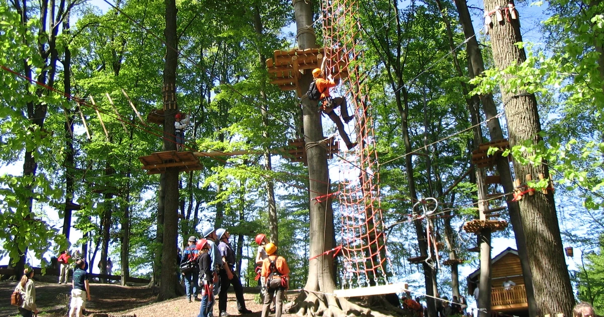 Kletterwald Osnabrück - Teammotion – Bild 5