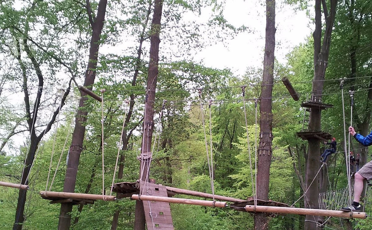 Kletterwald Osnabrück - Teammotion – Bild 6