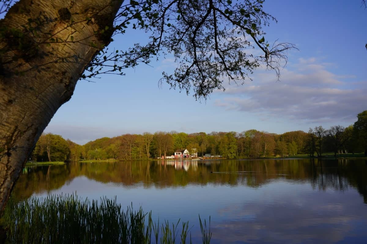 Bootsteich – Bild 2