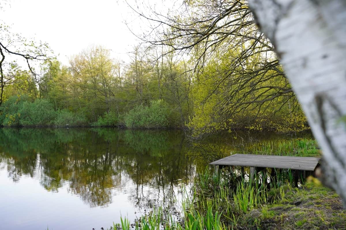 Bootsteich – Bild 3