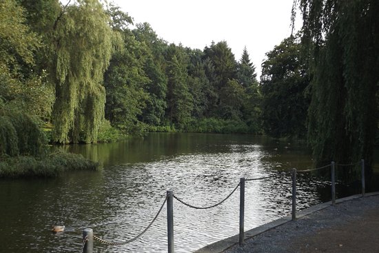 Bootsteich – Bild 4