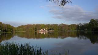 Bootsteich – Bild 5